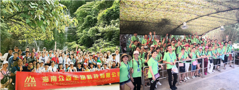 QQ图片20180619111547.png QQ图片20180619111547.png